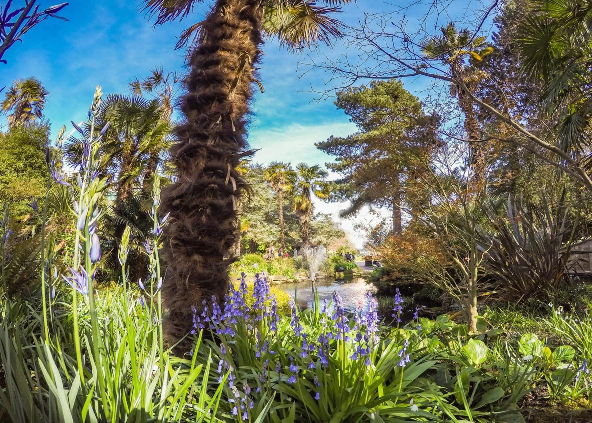 Bournecoast - Clifftop Apartment With Garden -Fm827 ボーンマス エクステリア 写真